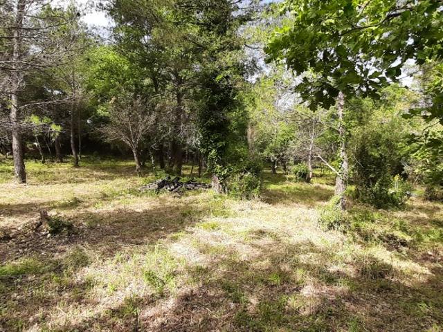 Flayosc Vente Terrain 83