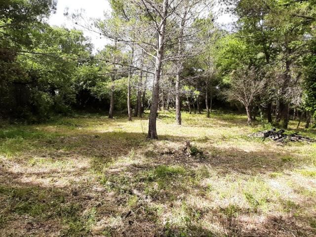 Flayosc Vente Terrain 83