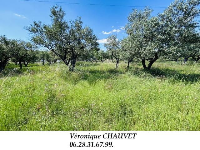 Flayosc Vente Terrain 83