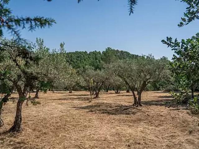 Flayosc 83780 Achat / Vente terrain