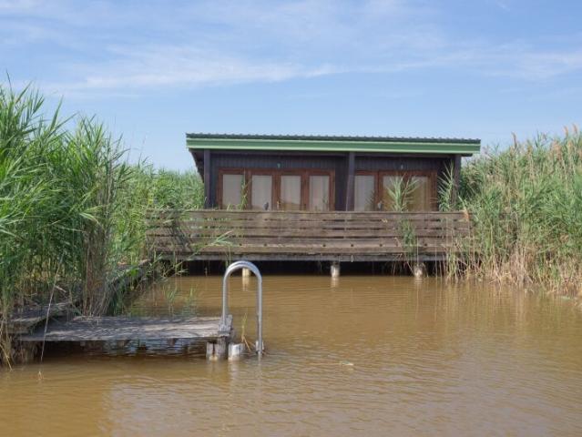 Flachdach Seehütte in ruhiger Lage der Ruster Südbucht