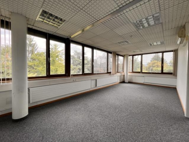 Fläche von 605 m2 Flexible Vermietung