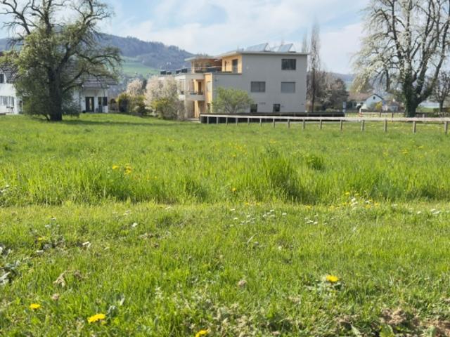 Flaches, erschlossenes Baugrundstück in Bettlach kaufen
