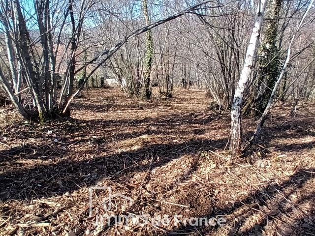 Flagnac Vente Terrain 12