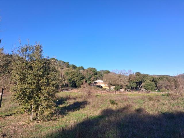 Flassans sur Issole Vente Terrain 83