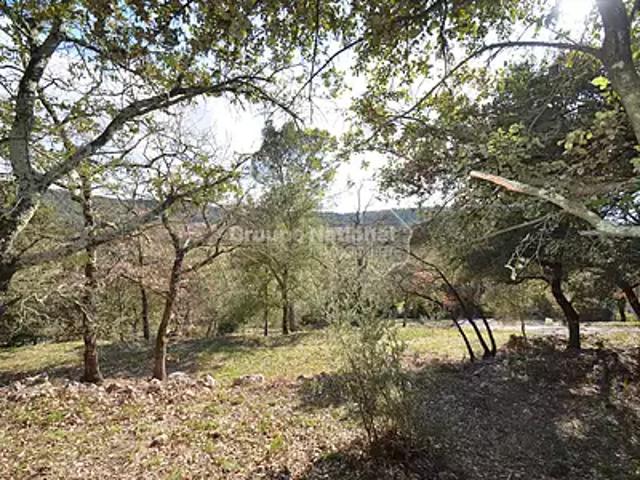 Flassans sur Issole 83340 Achat / Vente terrain