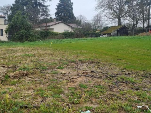 Fleurie Vente Terrain 69