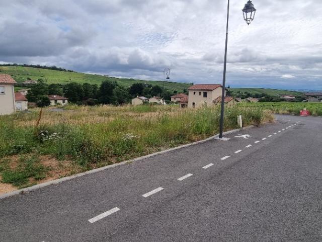 Fleurie Vente Terrain 69