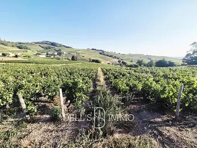 Fleurie 69820 Achat / Vente terrain