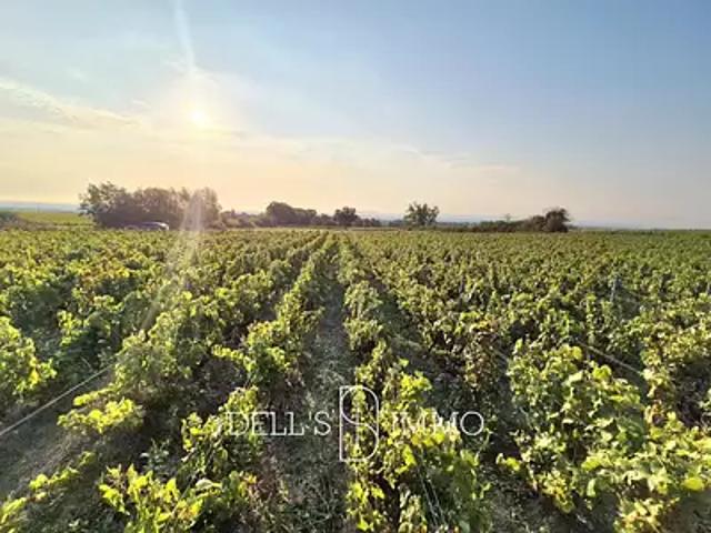 Fleurie 69820 Achat / Vente terrain
