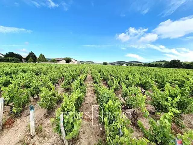 Fleurie 69820 Achat / Vente terrain