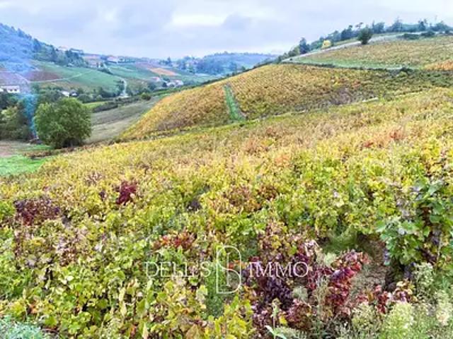 Fleurie 69820 Achat / Vente terrain
