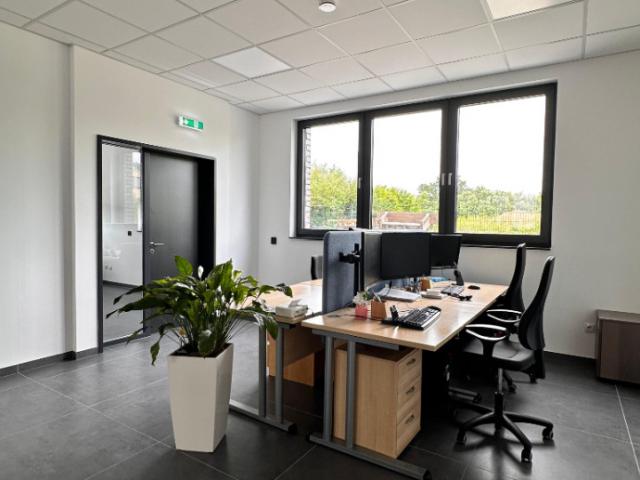 Flex Desk 1 Tag/Woche bis 5 Tage/Woche