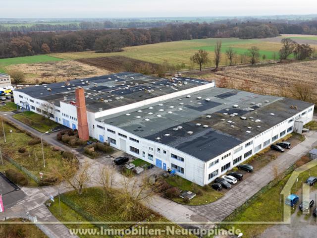 Flexible Hallen und Büroflächen im Gewerbegebiet Treskow – ab 2 €/m²