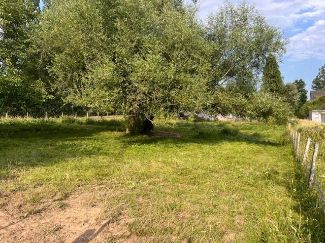 Flers Vente Terrain 61