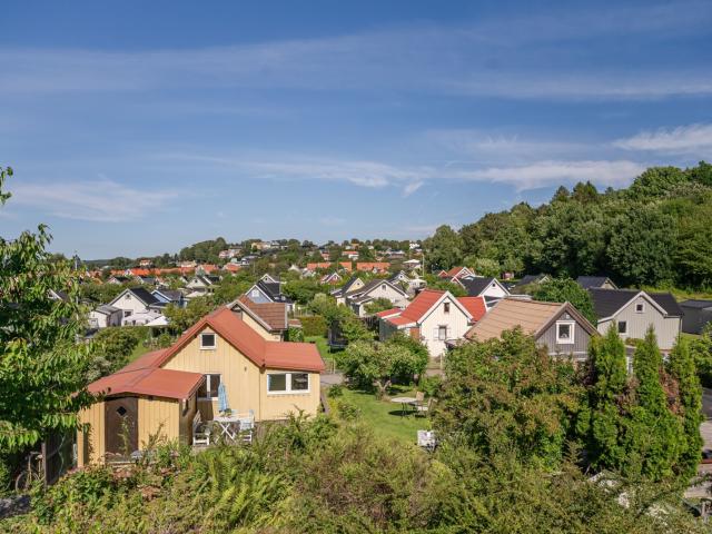 Flugsnapparegången 40
