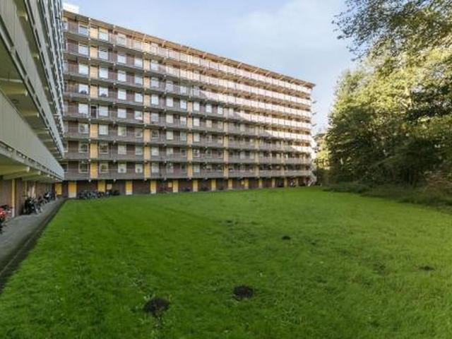 Fluitekruidweg 1508 Zaandam