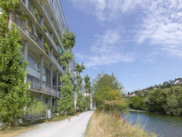 Flusswohnungen Kein Seeanstoss aber direkt an der Limmat