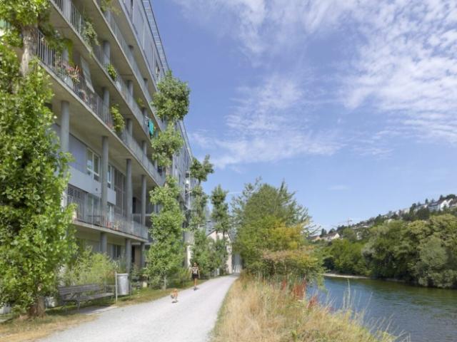 Flusswohnungen Kein Seeanstoss aber direkt an der Limmat