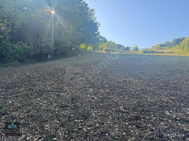 FSOON'dan POLENEZKÖY MERKEZİ LOKASYONDA 2900M2