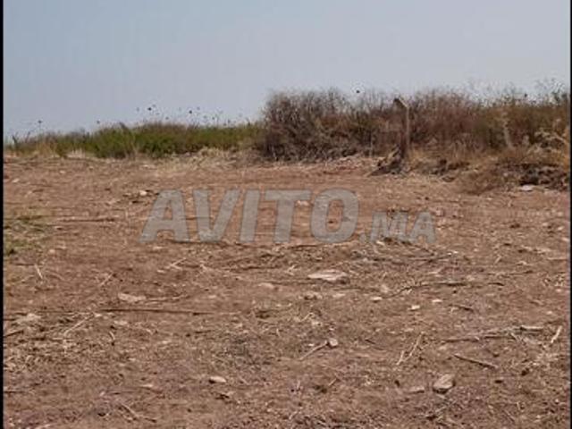 فرصة نادرة أرض للبيع بطنجة نونويش