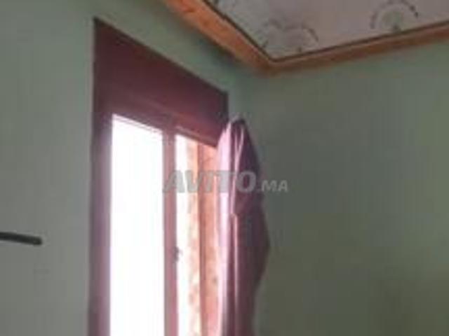 فرح السلام الولفة