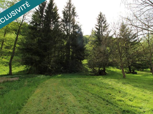 Frohmuhl Vente Terrain 67