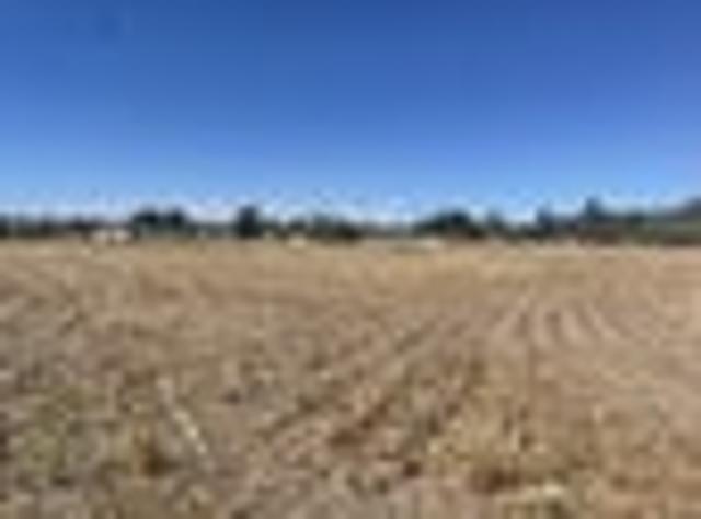 From Paddock to Potential