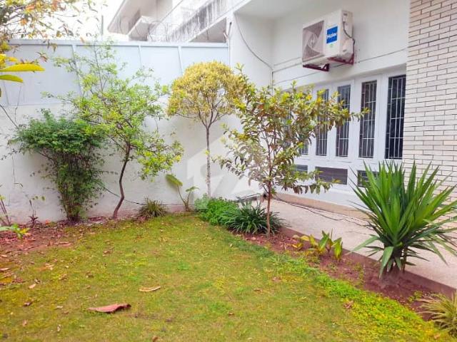 Front Back Open Old House In Prime Location Of F 6