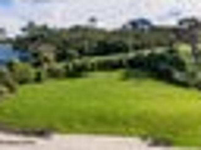 Front row sections at Mangawhai Point