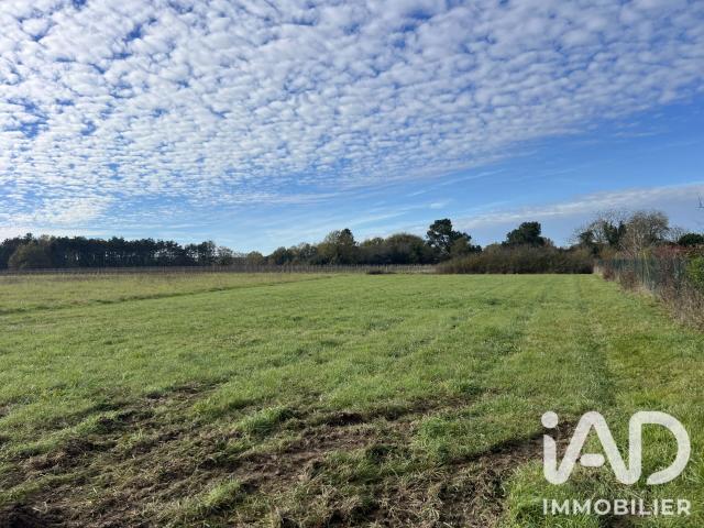 Fronton Vente Terrain 31