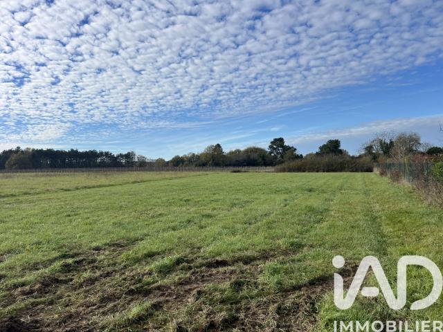 Fronton Vente Terrain 31