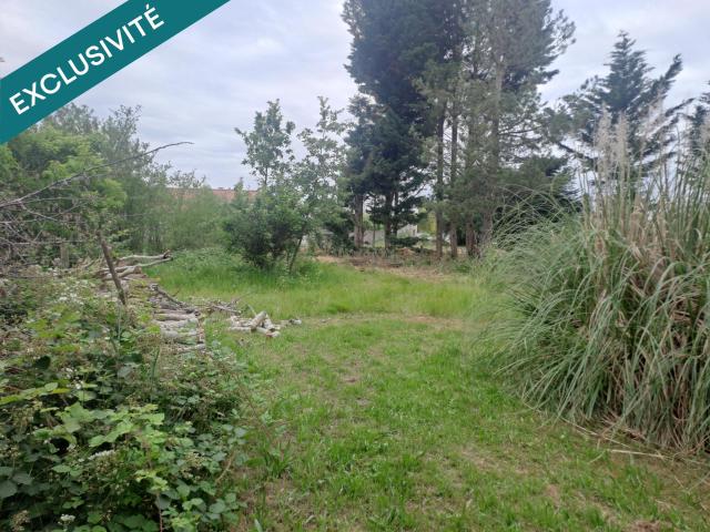 Fronton Vente Terrain 31