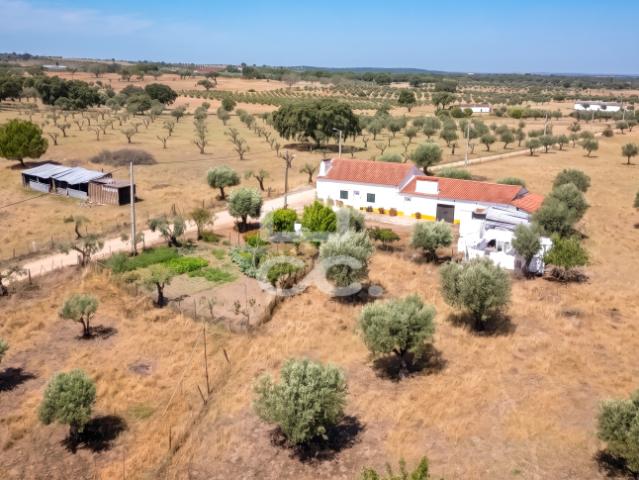 Fronteira Portalegre LS105006278