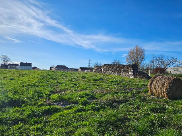 Frontenard Vente Terrain 71
