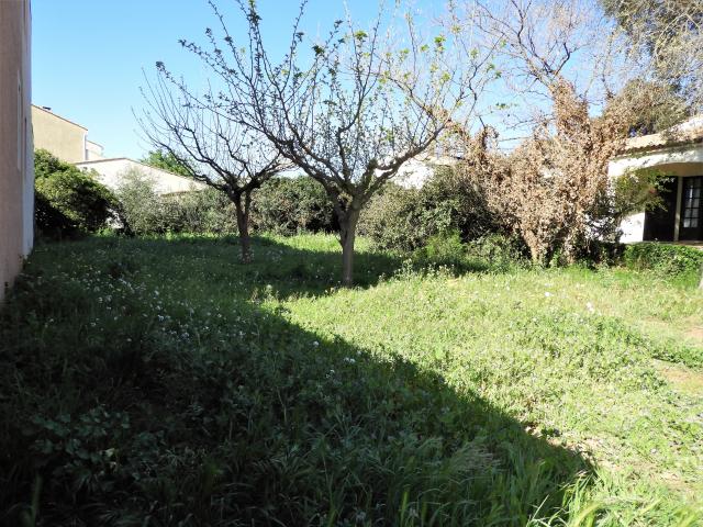 Frontignan 368m2 à bâtir