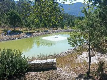 FRACCIONAMIENTO CAMPESTRE BOSQUE BOREAL