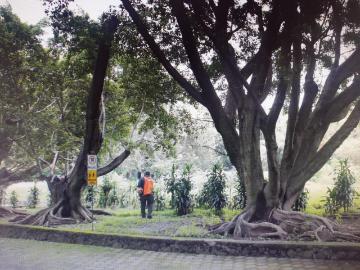Terreno en VENTA en Fraccionamiento Laureles al Norte de Cuernavaca