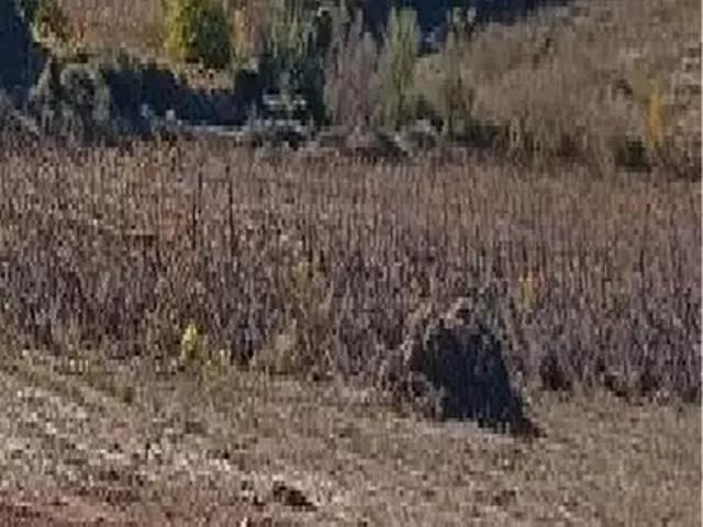 Fraissé des Corbières 11360 Programme neuf terrain neuf à vendre