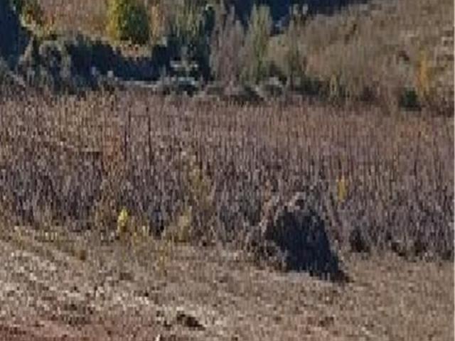 Fraissé des Corbières Vente Terrain 11