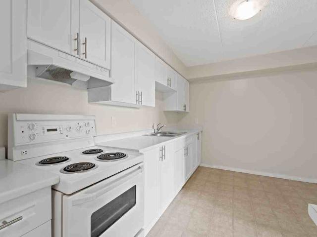 Frances Tower Apartments 1 Bedroom Apartment for Rent at 3540 Peter St, Windsor, ON N9C 4C1 Sandwich