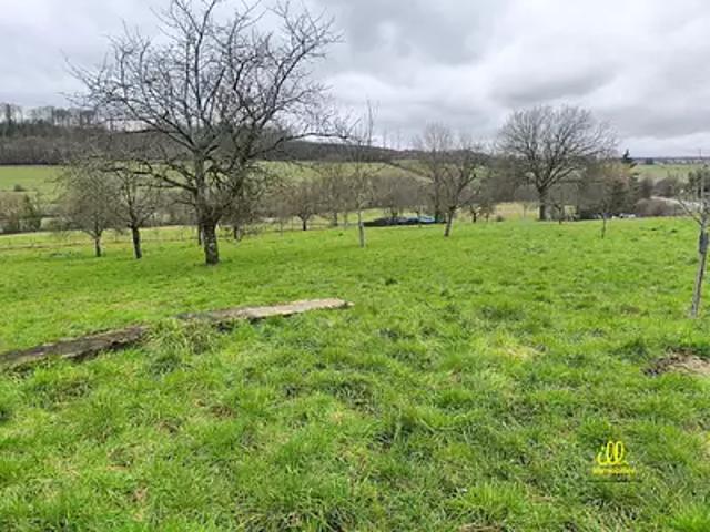 Francheval 08140 Achat / Vente terrain
