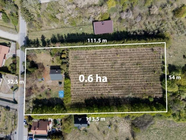 Franciszka Bielińskiego 6 000 m², Czersk