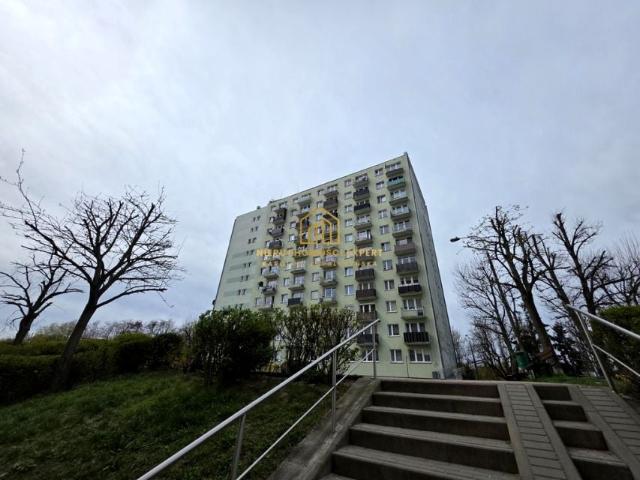Franciszka Walczaka 54,70 m², Gorzów Wielkopolski