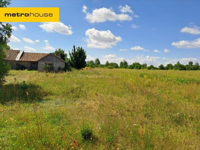 Franopol, 100 m2