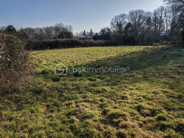 Franleu Vente Terrain 80