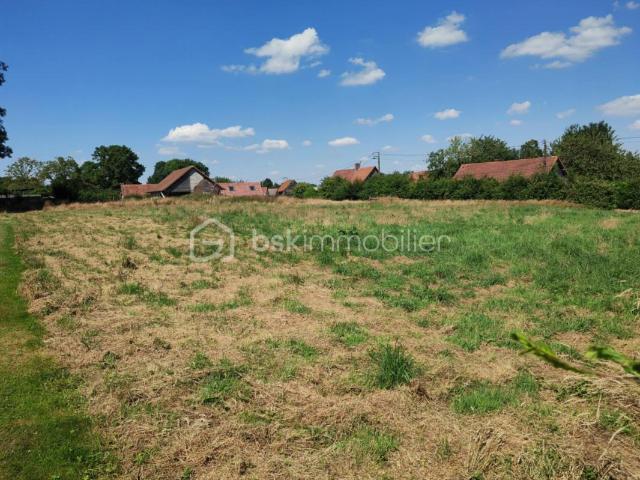 Franleu Vente Terrain 80