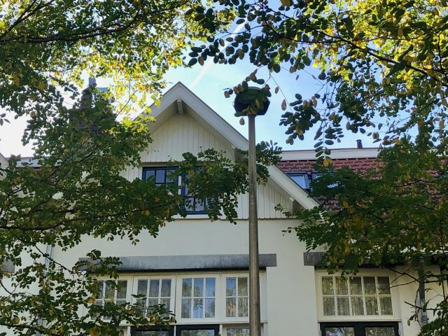 Frans Halsstraat, Utrecht Amsterdam Apartments for Rent