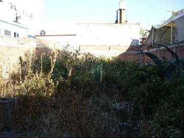 Franquicias y marcas Terreno comercial en renta