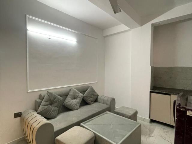 Freedom Fighter Enclave 1 Bedroom 700 Sq. Ft. Apartment in Saket Delhi Listing ID: #9913